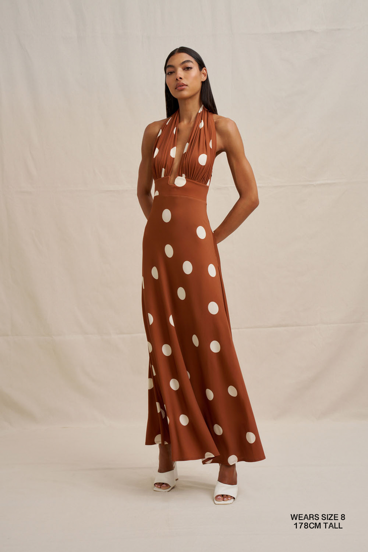 Paloma Polka Ankle Dress